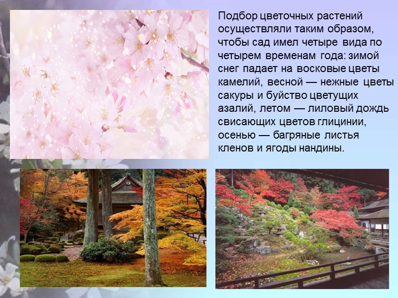 Подбор цветочных растений осуществляли таким образом, чтобы сад имел четыре вида по четырем временам